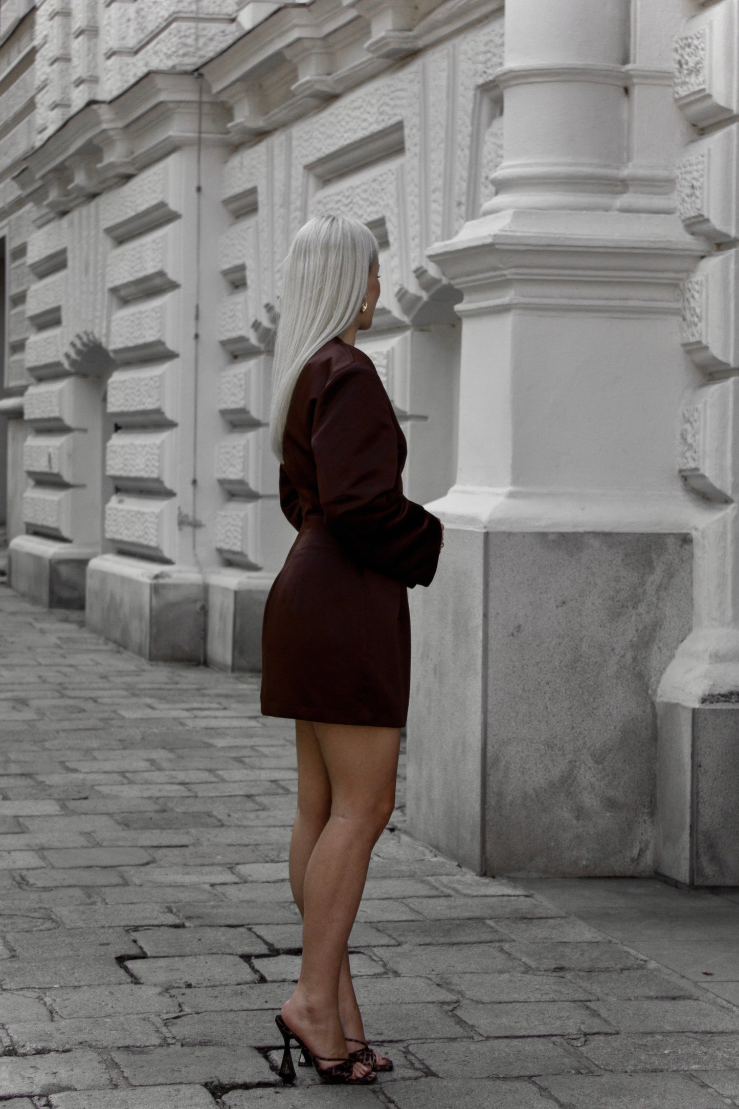 SCULPTED SILHOUETTE DRESS